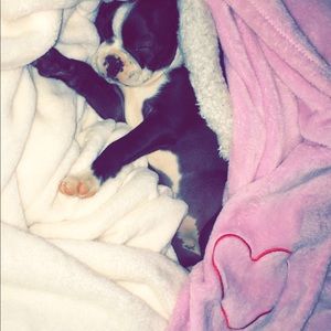 Meet your Posher, Kelsey